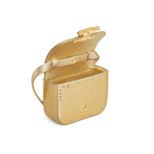 Load image into Gallery viewer, Mini Triomphe in Sequins